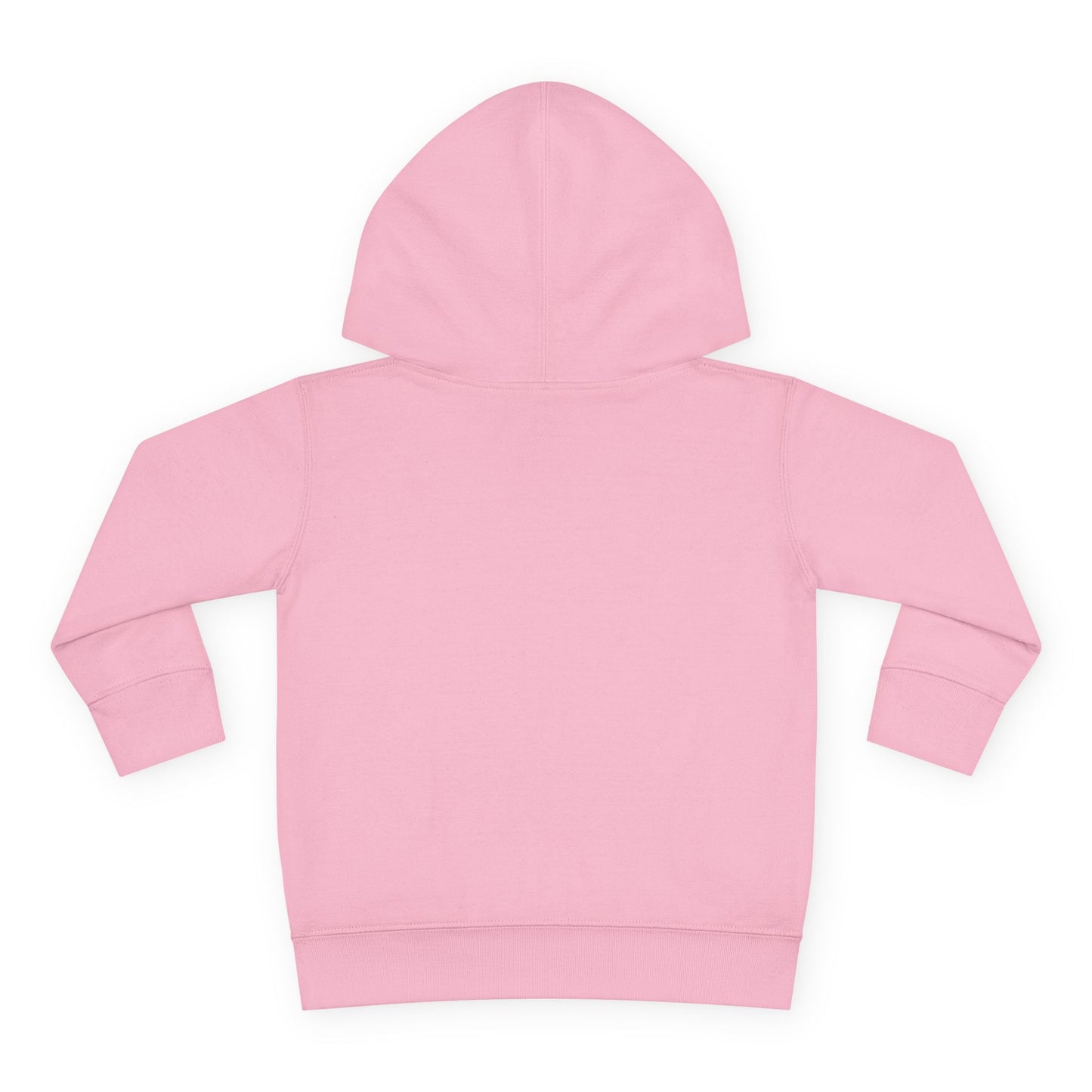 Family Trip Toddler Pullover Fleece Hoodie