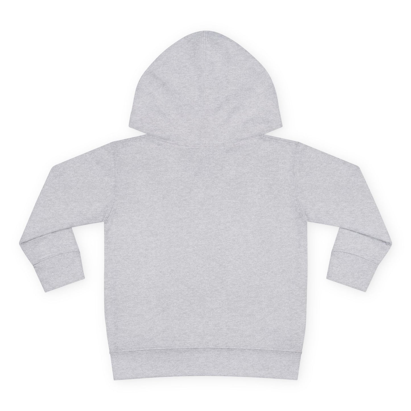 Family Trip Toddler Pullover Fleece Hoodie