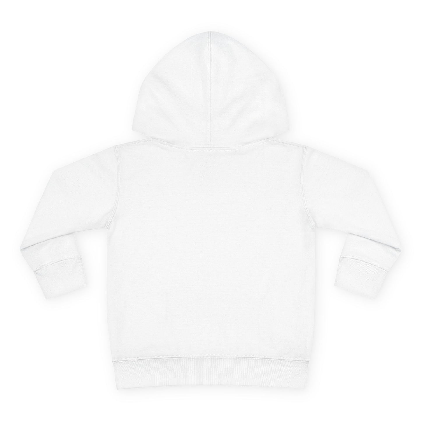 Family Trip Toddler Pullover Fleece Hoodie