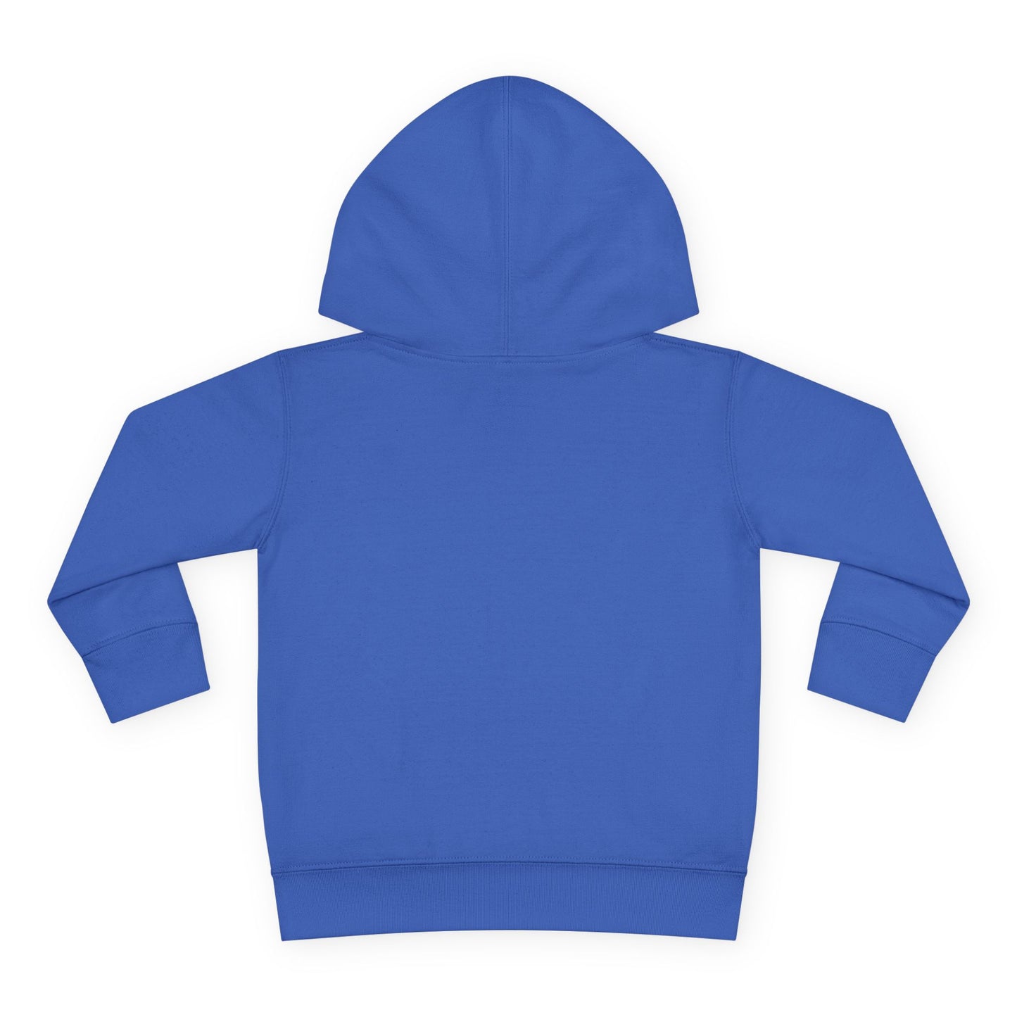 Family Trip Toddler Pullover Fleece Hoodie