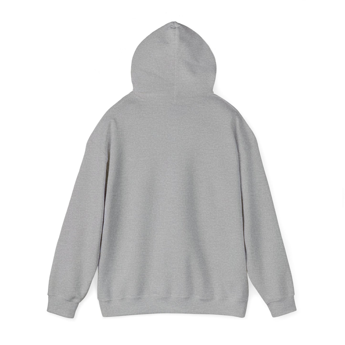 Family Trip Hooded Sweatshirt
