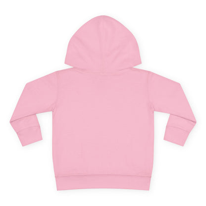 Family Trip Toddler Pullover Fleece Hoodie
