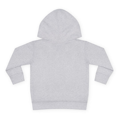 Family Trip Toddler Pullover Fleece Hoodie