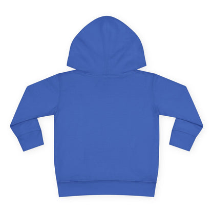 Family Trip Toddler Pullover Fleece Hoodie